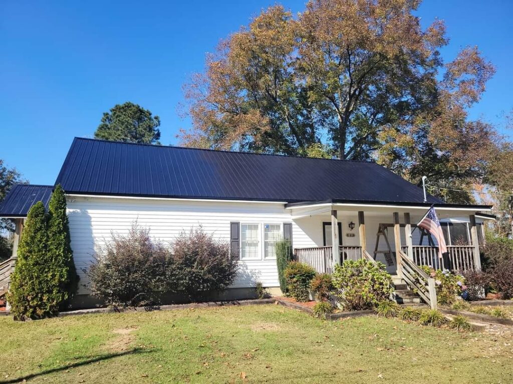 Blue Metal Roof